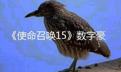 加强架X价9版上命召元唤1豪华使数字商城 售