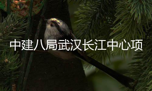 举行八局大会武汉项目中建中心长江千人誓师