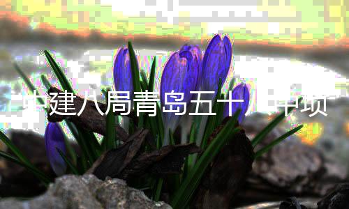 八局八中五十封顶项目中建主体青岛全部